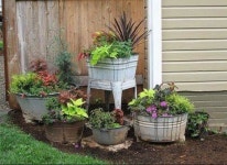 미정 최미정님이 mooni에 올린 이미지 | 정원 가꾸기, 정원 아이디어, 앞마당 조경