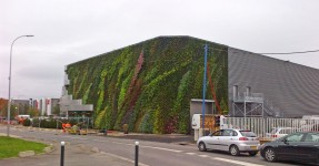 Jupiter, Sainte Geneviève des Bois | Vertical Garden Patrick Blanc | Patrick blanc, Jardin vertical, Bois