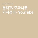 분재TV 모과나무 가지정리 - YouTube | 분재, 나무