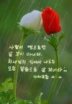 경희에 있는 Kyonghui Chon- Marella님의 핀