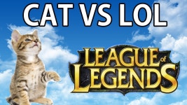 데이브 [고양이 키울 때 안 좋은점 - 롤 할 때] Playing League with your cat around | Lol, Funny games, Cats