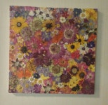 pressed flowers | 압화공예