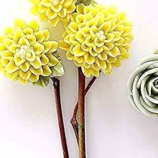 디어마이플라워