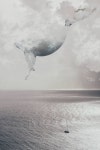 whale in the clouds | 배경화면, 고래