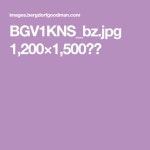 BGV1KNS_bz.jpg 1,200×1,500픽셀