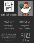 Korean Word for Chicken - 닭 | Aprender coreano, Coreanas, Vocabulario