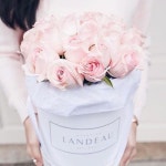 Xoxo, ♡ Pinterest : @1kco0zwe8r4mzzk | 꽃