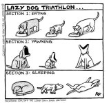 lazy dog triathlon(이미지 포함)