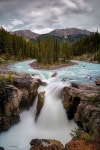 The Sunwapta Falls Jasper AB | 자연, 나무