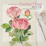 수채화 illustrator에 있는 핀