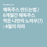 해독주스 만드는법 / 6개월간 해독주스 먹은 나만의 노하우(?) | Company logo, Health, Logos