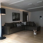 Polubienia: 114, komentarze: 5 – BoConcept_korea (@boconceptkorea) na Instagramie: „#메쪼소파 ✨ 편한 쿠션감과 착석감으로 많이... 