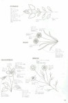 Japanese Embroidery Flowers 퀼트,퀼트도안,자수,자수도안,규방공예 : 네이버 블로그 | Japanese embroidery, Embroidery... 