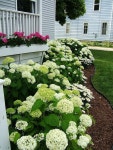 30 Stunning Landscaping Front Yard On A Budget #gardening #garden #gardendesign #landscapeonabudget | 정원 인테리어
