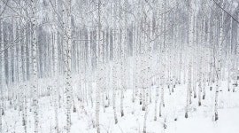자연속 아름다운 포토스팟, 강원도 인제로 떠나는 여행 | 여행, 아름다운, 여행지