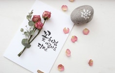 [바보사랑] 꽃처럼 아름다운 당신께 /어버이날/스승의날/카드/편지/드라이플라워/캘리그라피/손글씨/Mother/Father/Card/Letter... 