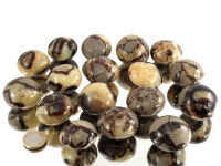 Septarian Nodule Pebbles | 빈티지