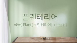 [이벤트 모음][쿠팡] 집에 싱그러움을 담아보세요! 플랜테리어 들어보셨나요? (게시:2019-04-09 10:51:37) | 식물