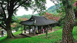 Myeongokheon in Damyang, Korea  담양 명옥헌