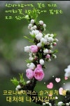 카톡짤, 짤방모음, 카톡짤방모음, 웃긴짤방모음 257 : 네이버 블로그 | 사랑 카드, 아침 인사, 카드