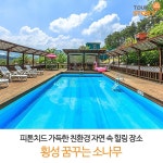 펜션 #커플여행 #가족여행 #여행스토리 #가족펜션 #횡성가볼만한펜션 #여름휴가철펜션 #연인 #꿈꾸는소나무 | Outdoor, Outdoor decor, Tours