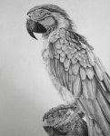 Unbelievable Photorealistic Drawings | 동물 디자인, 강아지 그림, 새