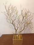 gold Manzanita branch centerpiece | 나무장식, 크리스마스 장식, 인테리어