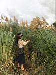 팜파스 🌾