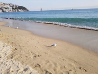 Places that I love에 있는 Hanna Cho님의 핀 | 여행지