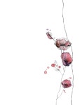 그림과캘리에 있는 김남숙님의 핀 | 그림