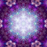 만다라에 있는 필원 김님의 핀 | 추상화, 명상