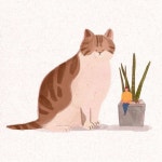 от #mypositivestyles #myps(이미지 포함) | 고양이 아트, 동물 그리는 법