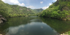 view에 있는 규식 서님의 핀