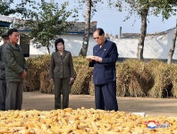 박봉주동지 곡산군 무갈협동농장 현지료해 | Vegetables, Food