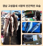 고성읍내 시장에서 본 정겨운 모습들.