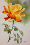 Imagem de Arte em aquarela por 미경 차 em 천아트 | Pintura aquarela, Aguarela