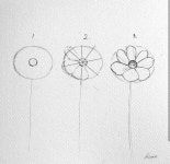 영미 한국어에 있는 Flowersym님의 핀 | 식물 세밀화, 간단한 그림, 쉬운 그리기