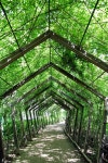 Khoảng trời xanh ở công viên hồ Seonam, thành phố Ulsan 울산 선암호수 공원 | 공원, 사례