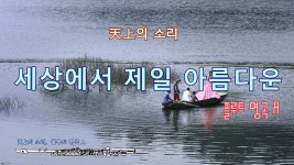 天上의 소리 /세상에서 제일 아름다운 플루트 명곡 A /The most beautiful flute music in the wor... in 2020 | Poster, Movie... 