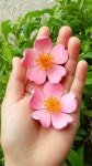 Pin by 은월 on 만들기 | Quilling jewelry, Quilling paper craft, Quilling art