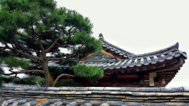 남평문씨 세거지 Daegu Korea