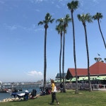 예상외로 너무좋앗던🌴#california #sandiego #coronado #island #beach #sea#perry#trip #yolo #daily #샌디에고 #코로나도... 