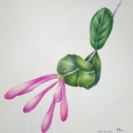 painting😶 #보태니컬아트 #컬러링북 #진선출판사 #보태니컬아트쉽게하기 #색연필컬러링편 #Botanicala… | Adult coloring... 