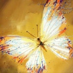 H0248 NO Frame /20*20Hand-painted Abstract Oil Painting Colourful Butterfly #ArtDeco | 나비, 동물 그림, 그림
