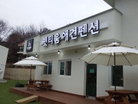 홍천 애견펜션 펫티움펜션 | 건강