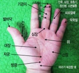 손맛사지 - 2023 | 건강, 건강증진, 반사요법