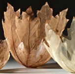 Skeleton Leaf Bowls - Kay Sekimachi | 공예, 유리 공예, 업사이클링
