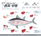 더쿠 - 얼마나 알고 있니? 참치부위.jpg