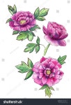 Pin on 보타니컬