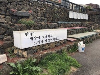 제주 공항 근처 ●여성전용●게스트하우스 주소: 제주시 사장길 38번지 302호 #세화#게스트하우스 #제주게스트하우스 #제주 #여행 #제주여행... 